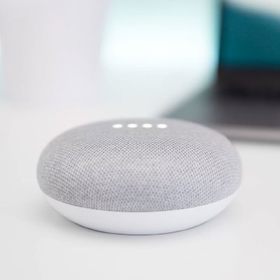 Google Home Mini [Attributes & Options]